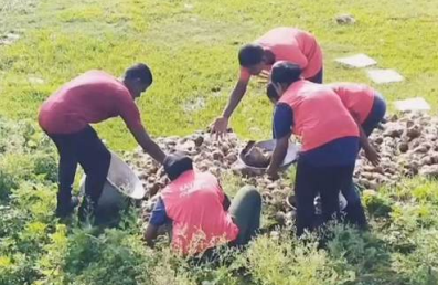 Rainwater harvesting and wastewater treatment