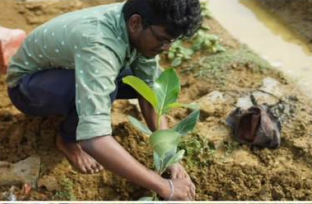 Highway tree plantation plan across Tamil Nadu